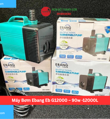 Máy Bơm Ebang Eb G12000 – 90w -12000L