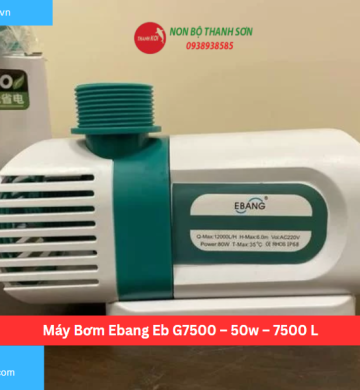 Máy Bơm Ebang Eb G7500 – 50w – 7500 L