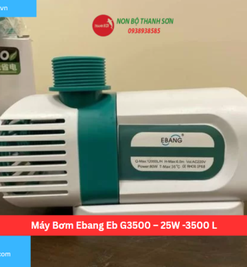 Máy Bơm Ebang Eb G3500 – 25W -3500 L