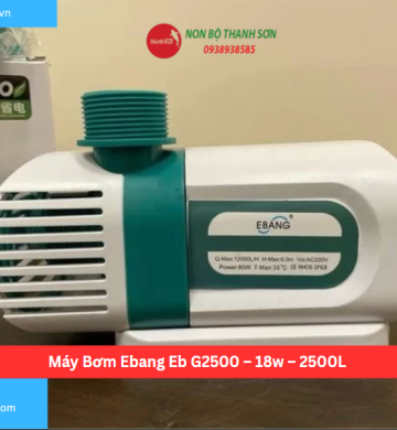 Máy Bơm Ebang Eb G2500 – 18w – 2500L