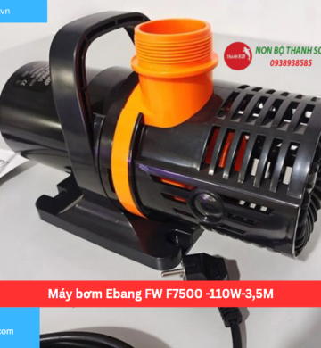 Máy bơm Ebang FW F7500 -110W-3,5M