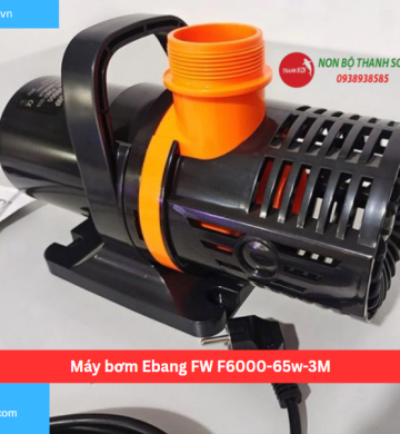 Máy bơm Ebang FW F6000-65w-3M