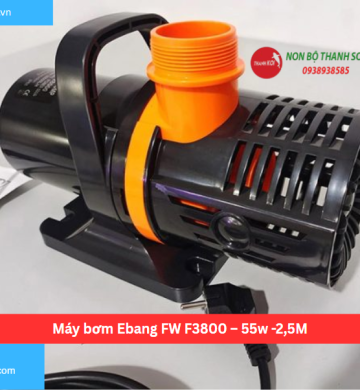 Máy bơm Ebang FW F3800 – 55w -2,5M