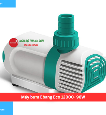 Máy bơm Ebang Eco 12000- 96W