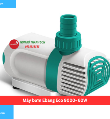 Máy bơm Ebang Eco 9000- 60W
