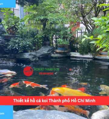 Thiết kế hồ cá koi Thành phố Hồ Chí Minh