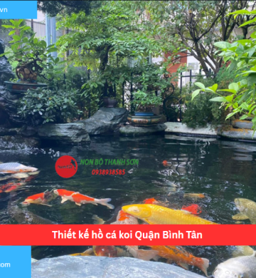 Thiết kế hồ cá koi Quận Bình Tân