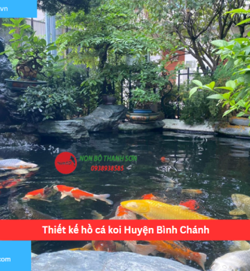 Thiết kế hồ cá koi Huyện Bình Chánh