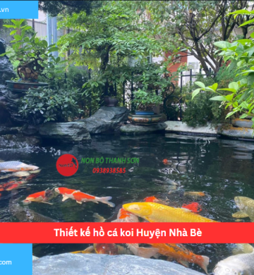 Thiết kế hồ cá koi Huyện Nhà Bè