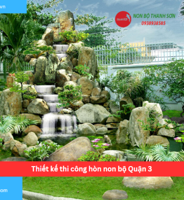 Thiết kế thi công hòn non bộ Quận 3