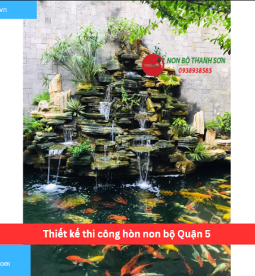Thiết kế thi công hòn non bộ Quận 5