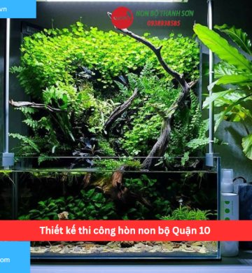 Thiết kế thi công hòn non bộ Quận 10