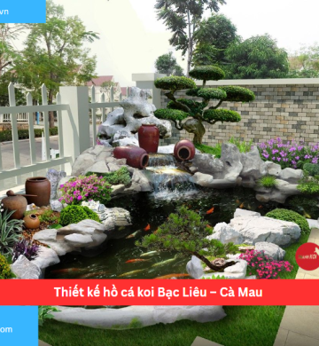 Thiết kế hồ cá koi Bạc Liêu – Cà Mau