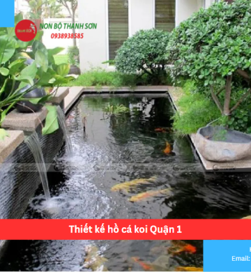 Thiết kế hồ cá koi Quận 1