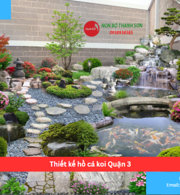 Thiết kế hồ cá koi Quận 3