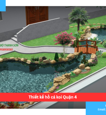 Thiết kế hồ cá koi Quận 4