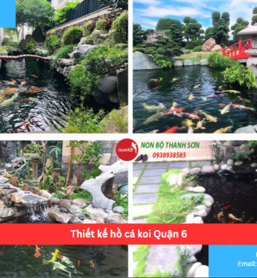 Thiết kế hồ cá koi Quận 6