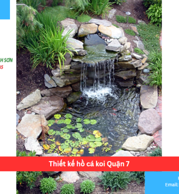 Thiết kế hồ cá koi Quận 7