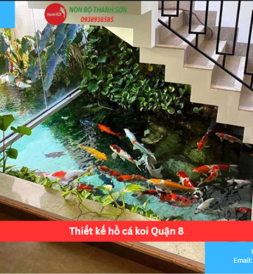 Thiết kế hồ cá koi Quận 8