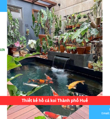 Thiết kế hồ cá koi Thành phố Huế