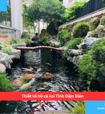 Thiết kế hồ cá koi Tỉnh Điện Biên
