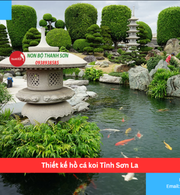 Thiết kế hồ cá koi Tỉnh Sơn La