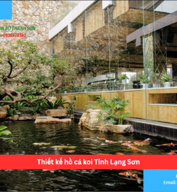 Thiết kế hồ cá koi Tỉnh Lạng Sơn