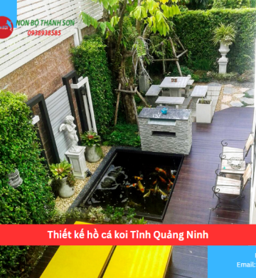 Thiết kế hồ cá koi Tỉnh Quảng Ninh