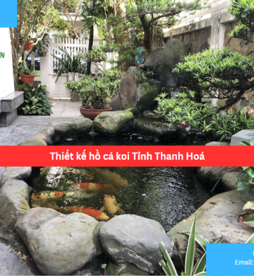 Thiết kế hồ cá koi Tỉnh Thanh Hoá