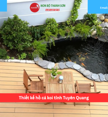 Thiết kế hồ cá koi tỉnh Tuyên Quang