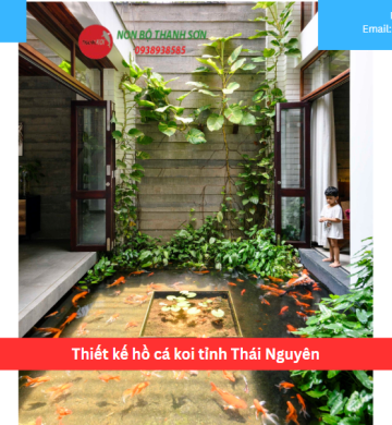 Thiết kế hồ cá koi tỉnh Thái Nguyên