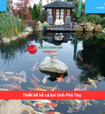 Thiết kế hồ cá koi tỉnh Phú Thọ