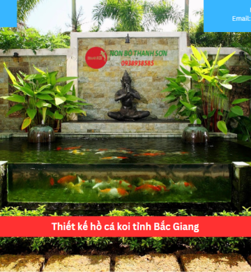 Thiết kế hồ cá koi tỉnh Bắc Giang