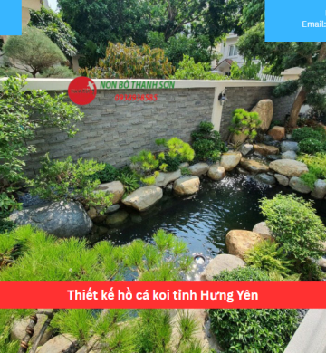 Thiết kế hồ cá koi tỉnh Hưng Yên