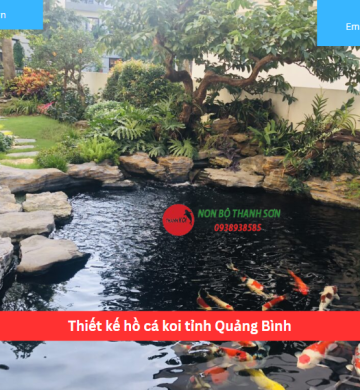 Thiết kế hồ cá koi tỉnh Quảng Bình