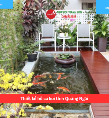 Thiết kế hồ cá koi tỉnh Quảng Ngãi