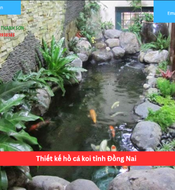 Thiết kế hồ cá koi tỉnh Đồng Nai 