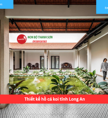 Thiết kế hồ cá koi tỉnh Long An