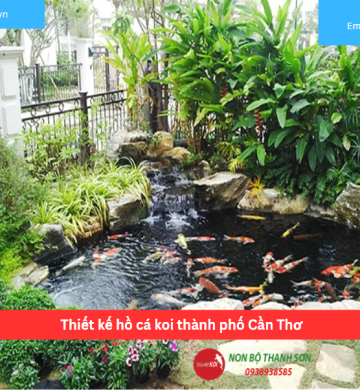 Thiết kế hồ cá koi thành phố Cần Thơ