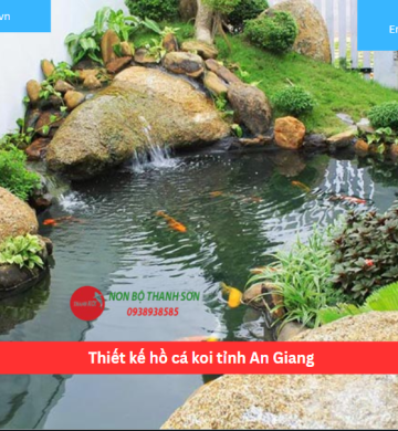 Thiết kế hồ cá koi tỉnh An Giang