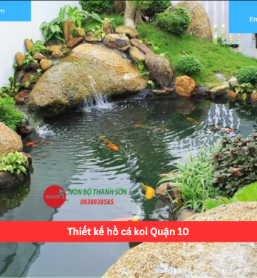 Thiết kế hồ cá koi Quận 10