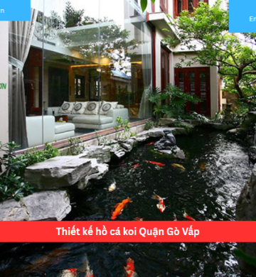Thiết kế hồ cá koi Quận Gò Vấp