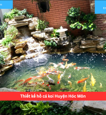 Thiết kế hồ cá koi Huyện Hóc Môn