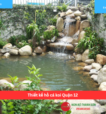 Thiết kế hồ cá koi Quận 12