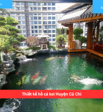 Thiết kế hồ cá koi Huyện Củ Chi