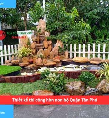 Thiết kế thi công hòn non bộ Quận Tân Phú