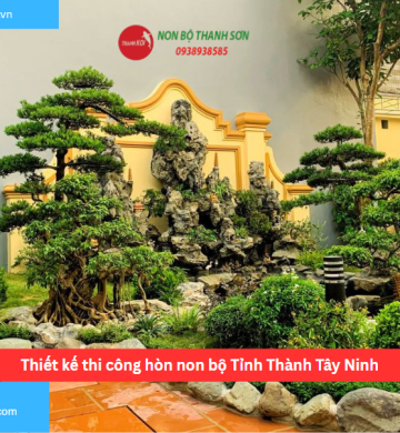 Thiết kế thi công hòn non bộ Tỉnh Thành Tây Ninh