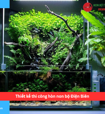 Thiết kế thi công hòn non bộ Điện Biên