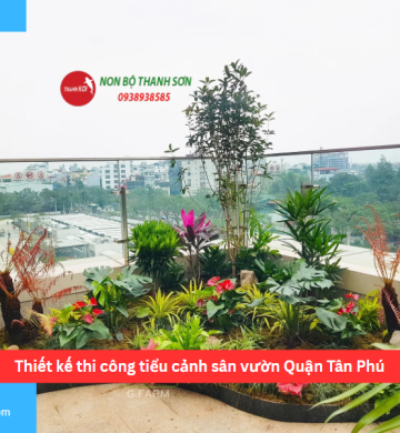 Thiết kế thi công tiểu cảnh sân vườn Quận Tân Phú