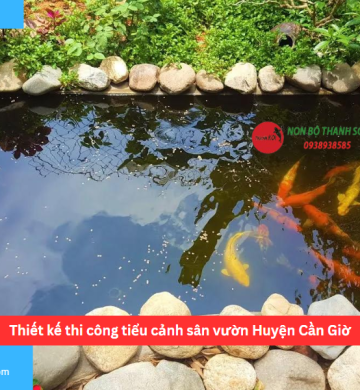 Thiết kế thi công tiểu cảnh sân vườn Huyện Cần Giờ